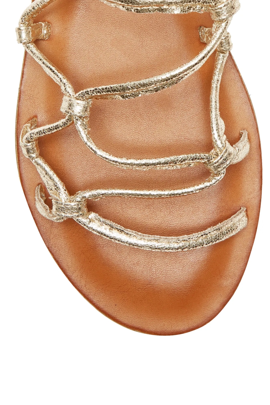 ANISHA SANDAL, image 7