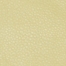 MEDIUM LIGHT GREEN