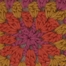MULTI