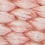 CORAL PINK
