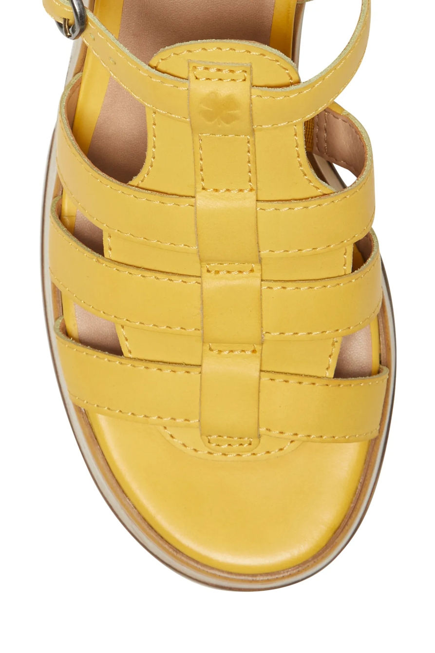 JEMIMMY CLOG, image 10