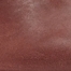 SABLE