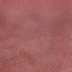 OPEN RED