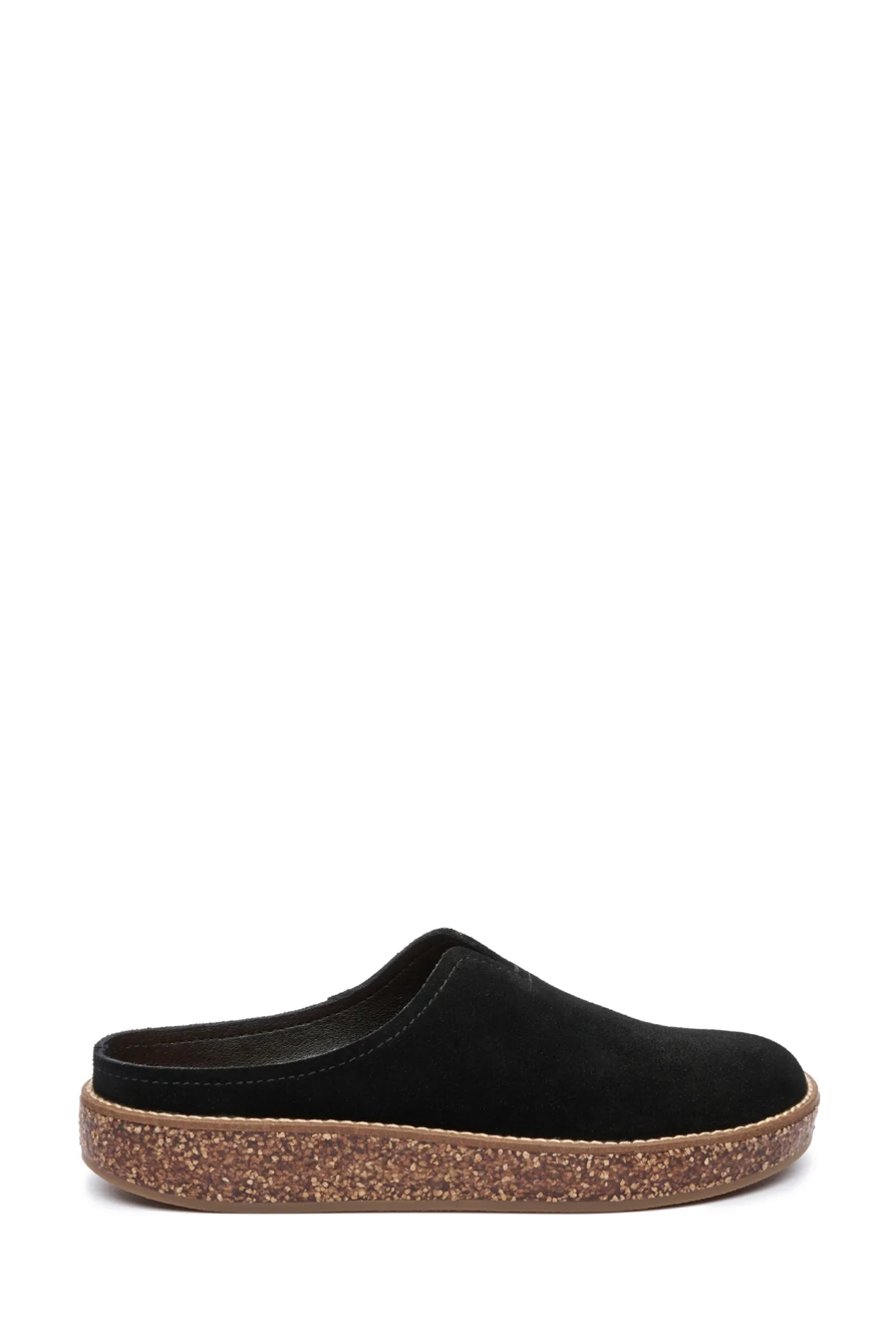 TAMALA CLOG, image 7