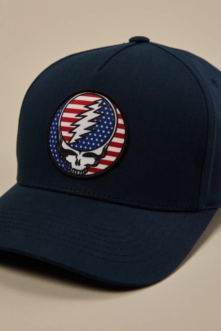 STEAL YOUR FACE AMERICANA BASEBALL HAT, image 3