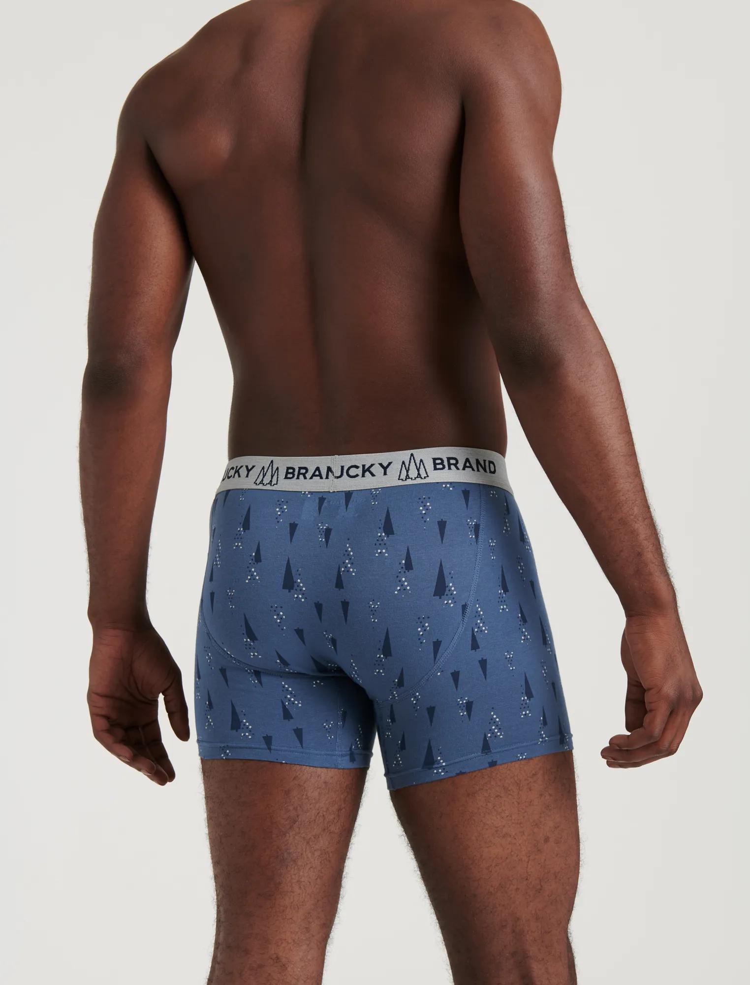 CHRISTMAS TREE BOXER BRIEFS, image 3