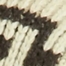 #252 GOLDEN TAN