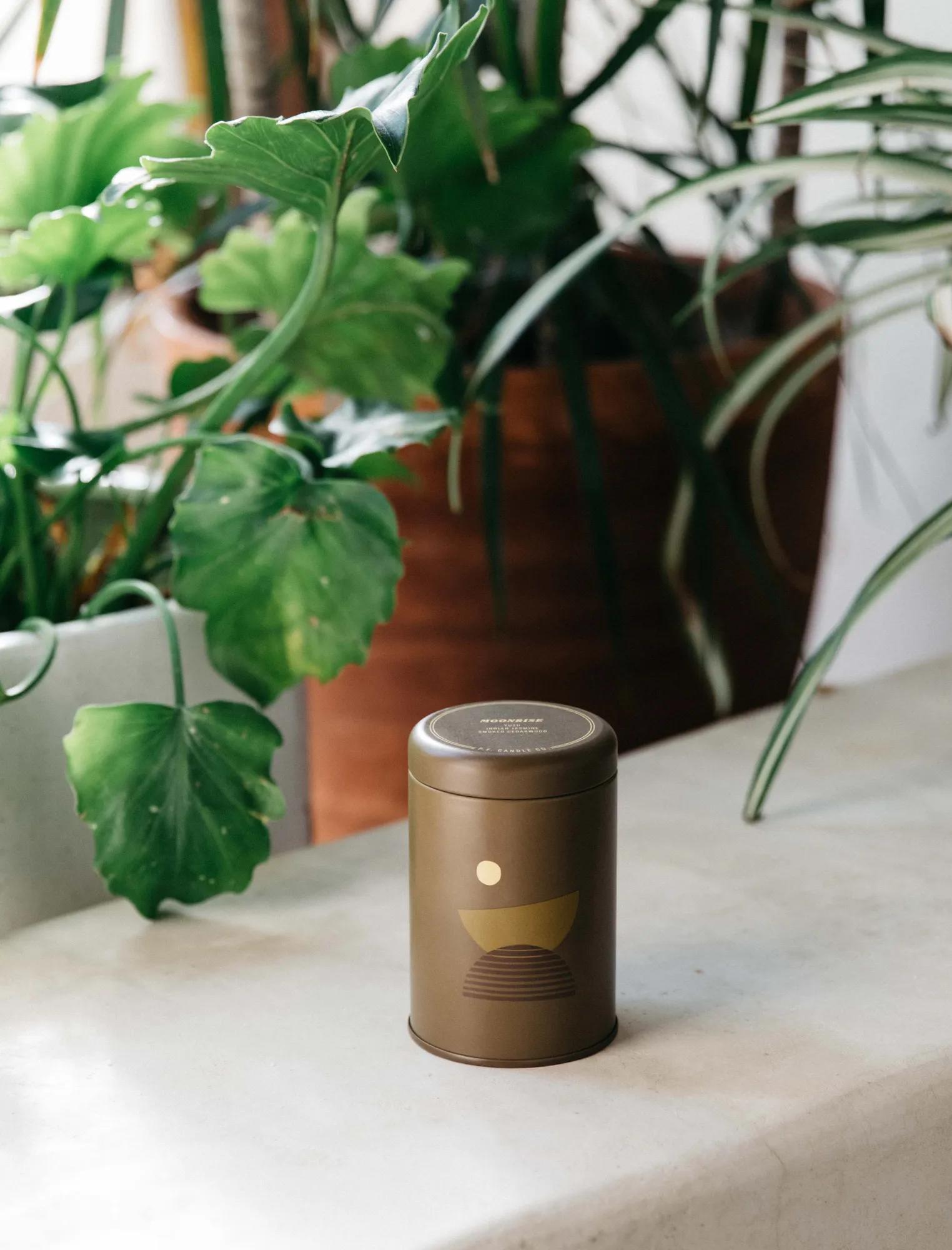 P.F. CANDLE CO. MOONRISE, image 5