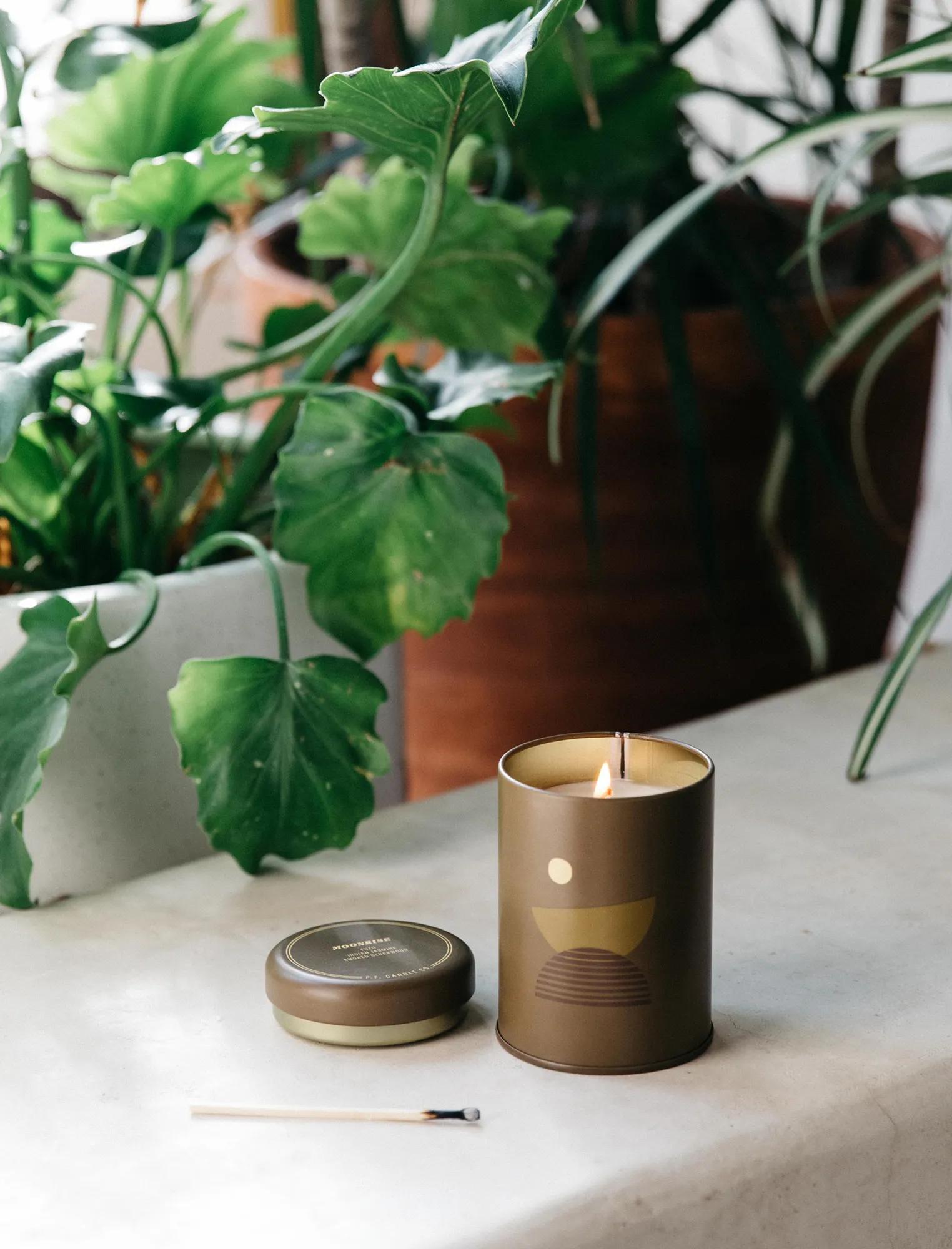 P.F. CANDLE CO. MOONRISE, image 6